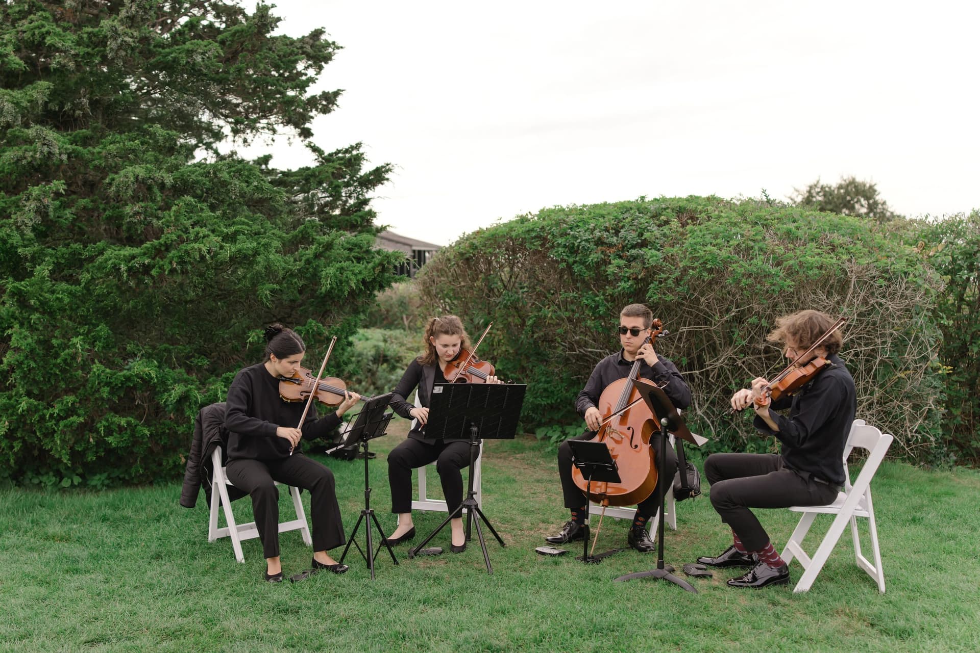 The quartet playing on a lawn at dusk